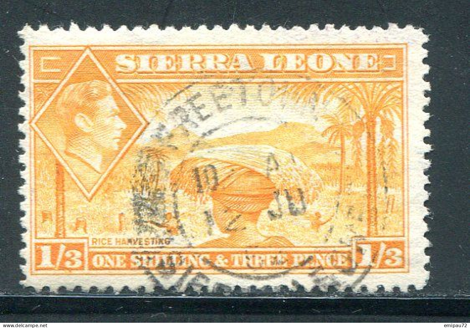 SIERRA LEONE- Y&T N°167- Oblitéré - Sierra Leona (...-1960)