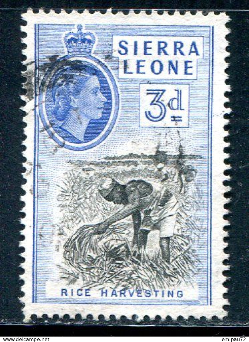 SIERRA LEONE- Y&T N°185- Oblitéré - Sierra Leona (...-1960)