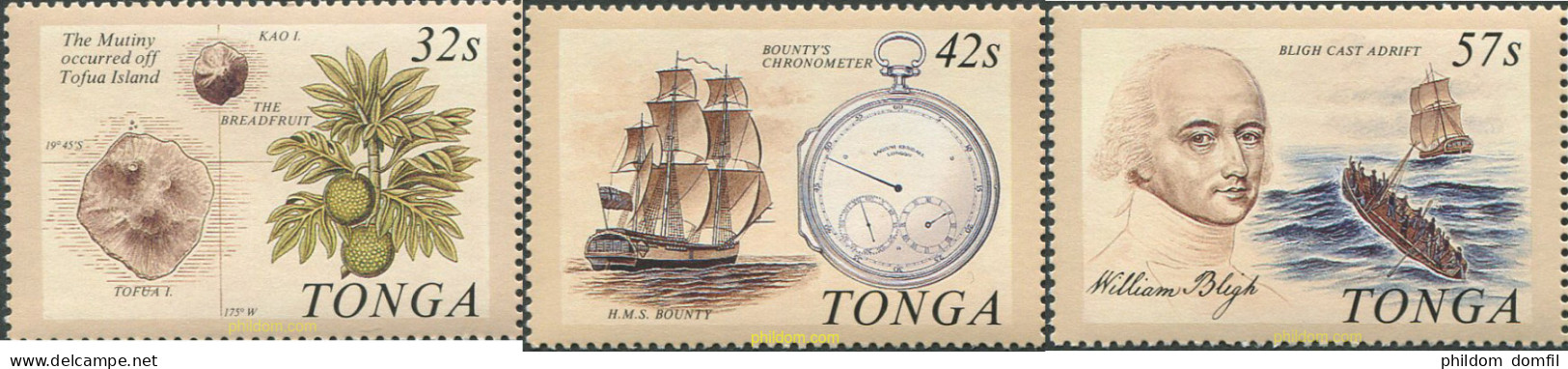 695879 MNH TONGA 1989 BICENTENARIO DEL MONTIN "BOUNTY" - Tonga (1970-...)