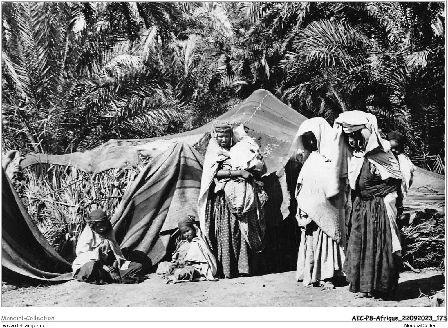 AICP8-AFRIQUE-0941 - Famille Nomade Dans L'oasis - Westelijke Sahara