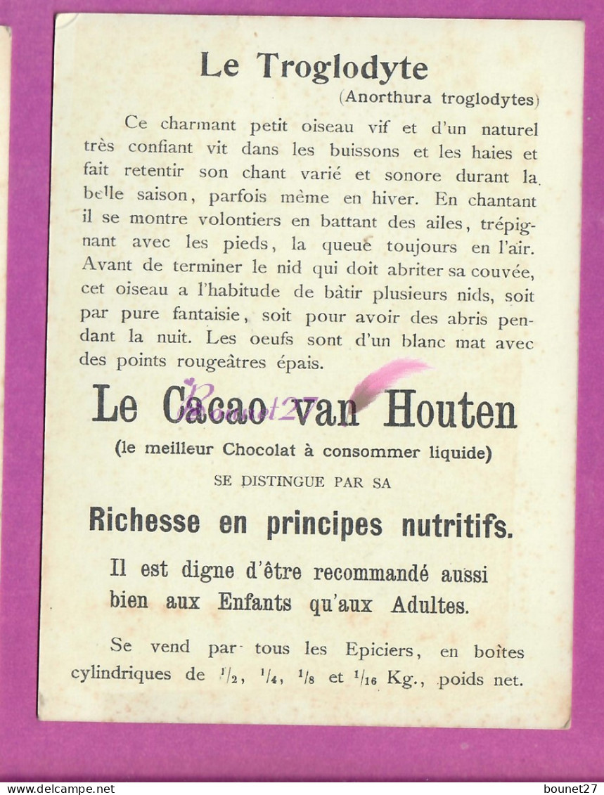 CHROMO - CACAO VAN HOUTEN Oiseau Bird LE TROGLODYTE MIGNON  - Van Houten