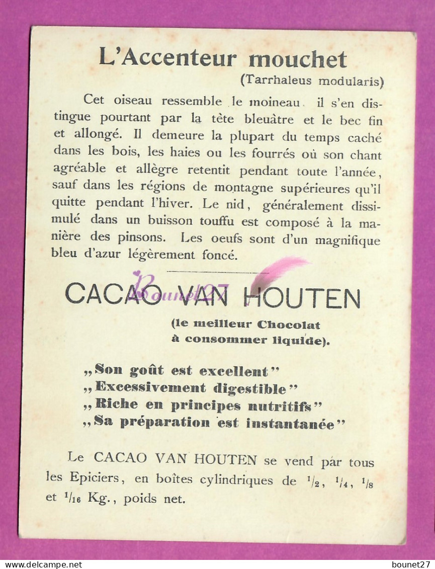 CHROMO - CACAO VAN HOUTEN Oiseau Bird L'ACCENTUEUR MOUCHET Nid Oeuf Bleu - Van Houten