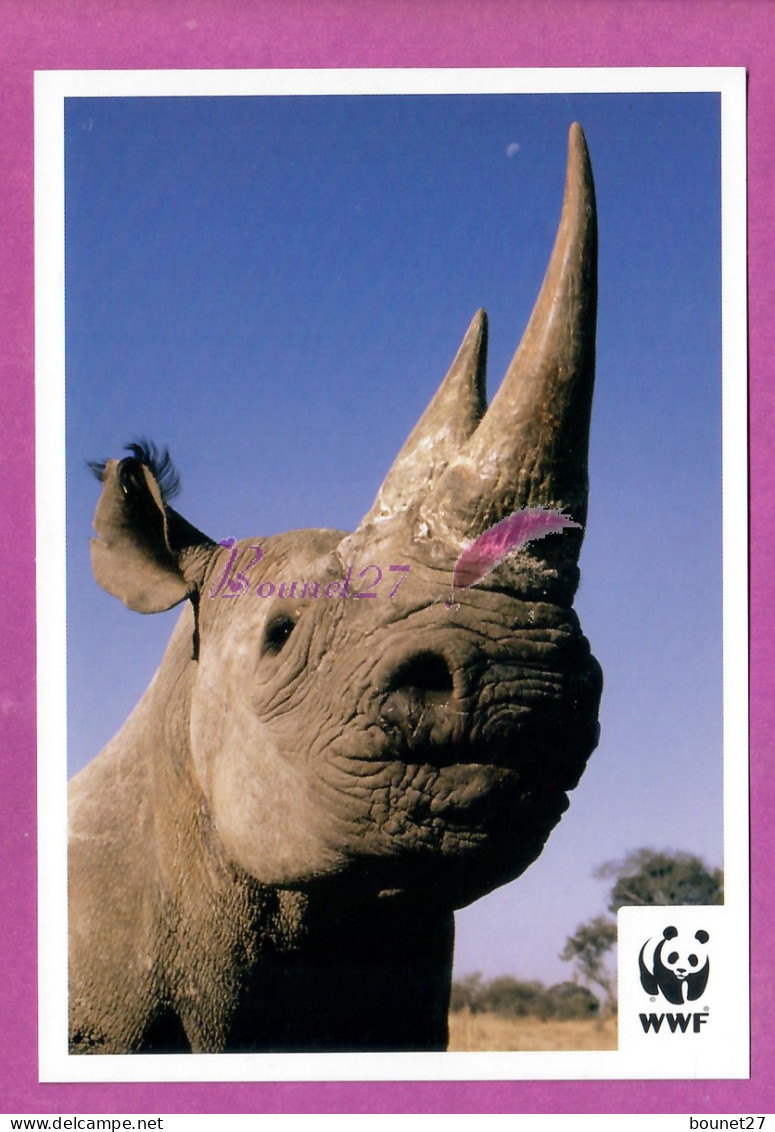 Animaux Animal - Un RHINOCEROS Afrique Sud De L'Asie  Carte WWF  - Rhinozeros