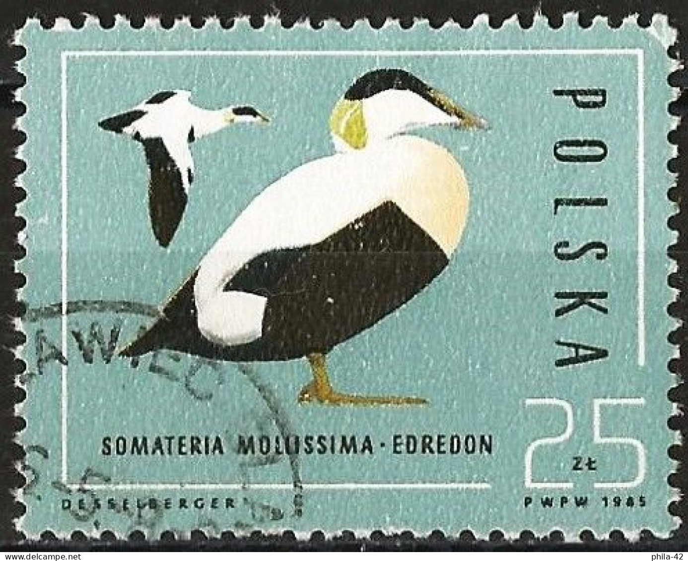 Poland 1985 - Mi 3002 - YT 2813 ( Duck : Common Eider ) - Canards