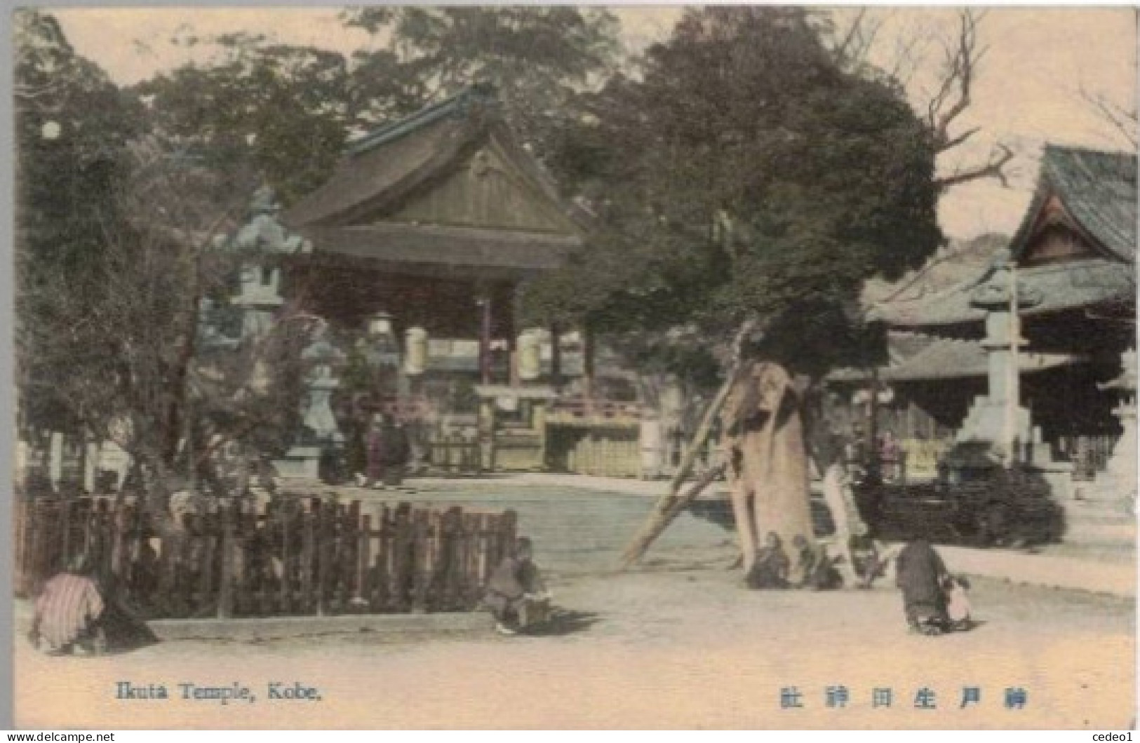 JAPON  KOBE  IKUTA TEMPLE    En 1909 - Kobe