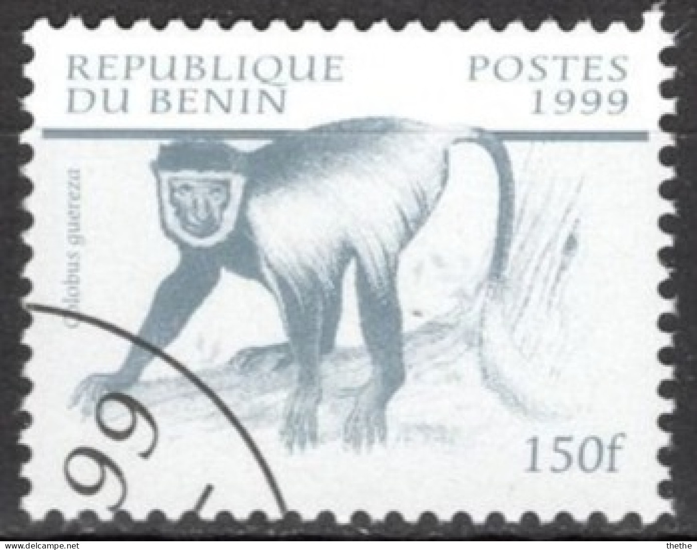 BENIN - Colobe à Manteau (Colobus Guereza) - Schimpansen