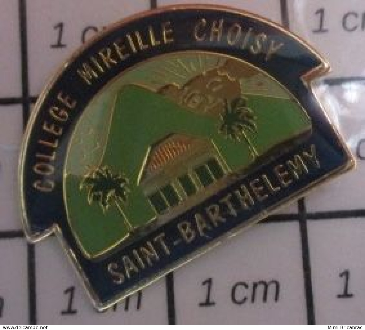 115C  Pin's Pins / Beau Et Rare / ADMINISTRATIONS / COLLEGE MIREILLE CHOISY A ST BARTHELEMY - Administration