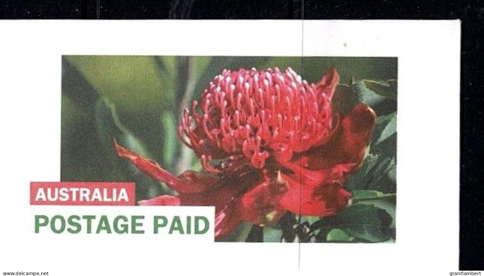 Australia 2024 Waratah  Postage Paid Domestic Mint Envelope - Postal Stationery