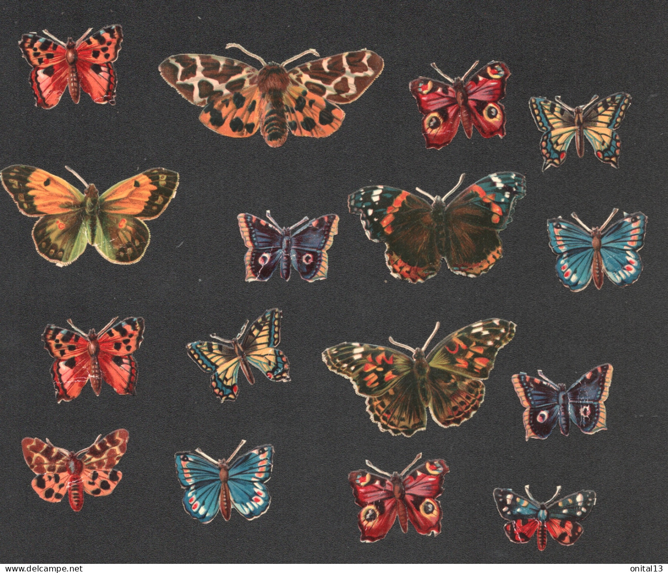 16 CHROMOS DECOUPI S / PETITS PAPILLONS  D3463 - Animales