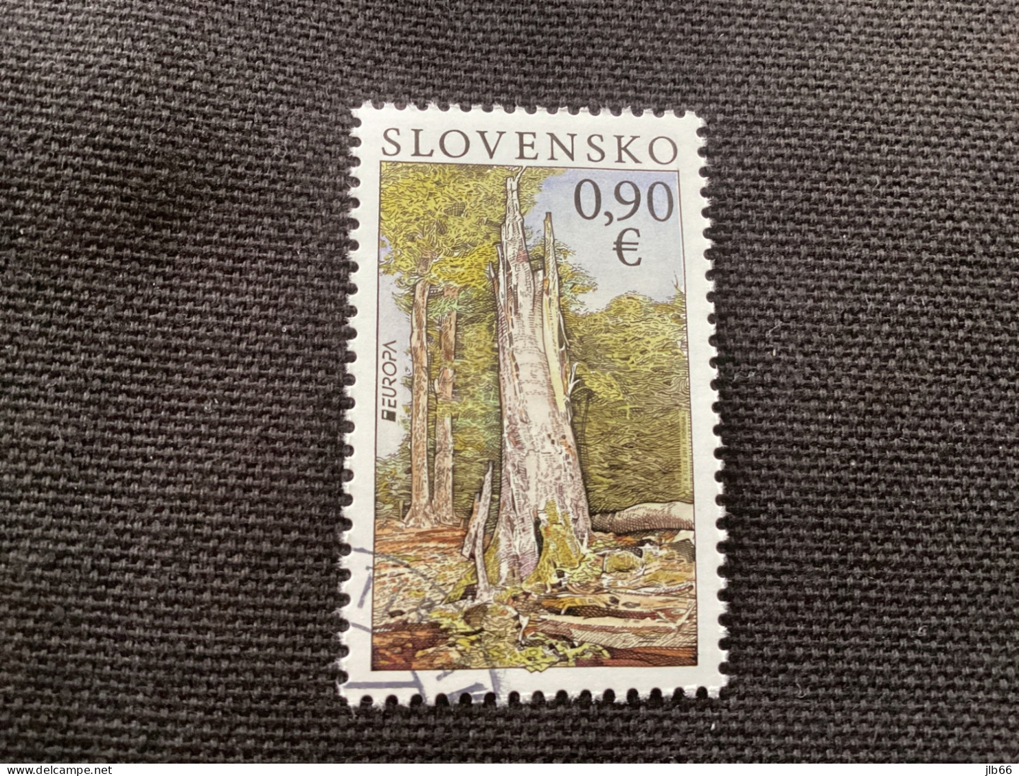 Europa 2011  Yvert 578 Oblitéré Forêt Parc National De Poloniny - Used Stamps