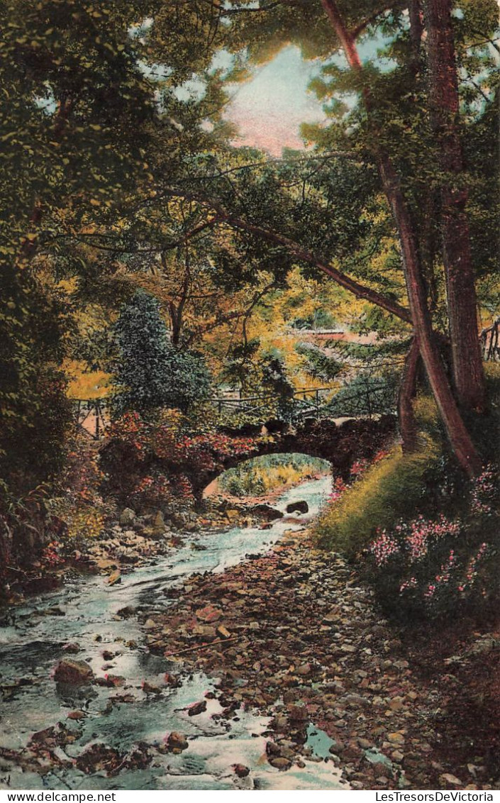 FRANCE - Châtel Guyon - Vue Sur Le Ruisseau Sardoun Dans Le Parc - Colorisé - Carte Postale Ancienne - Châtel-Guyon