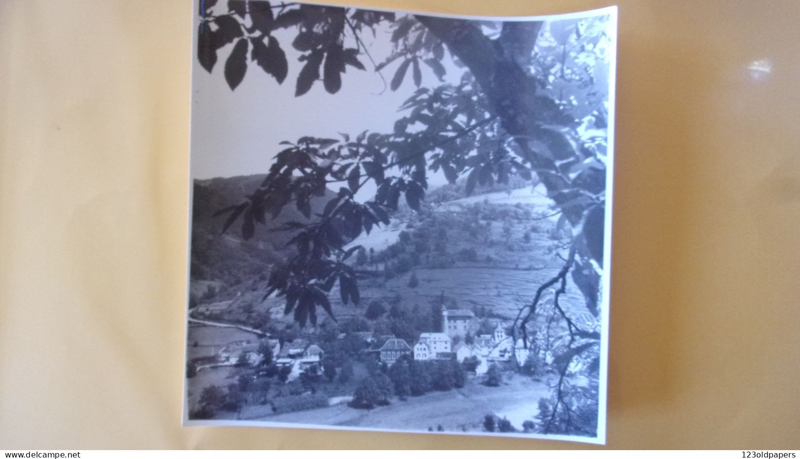 SNAPSHOT PHOTO AMATEUR VIEILLEVIE 15 CANTAL AOUT 1965 18/18CM VU DE ST SULPICE - Plaatsen