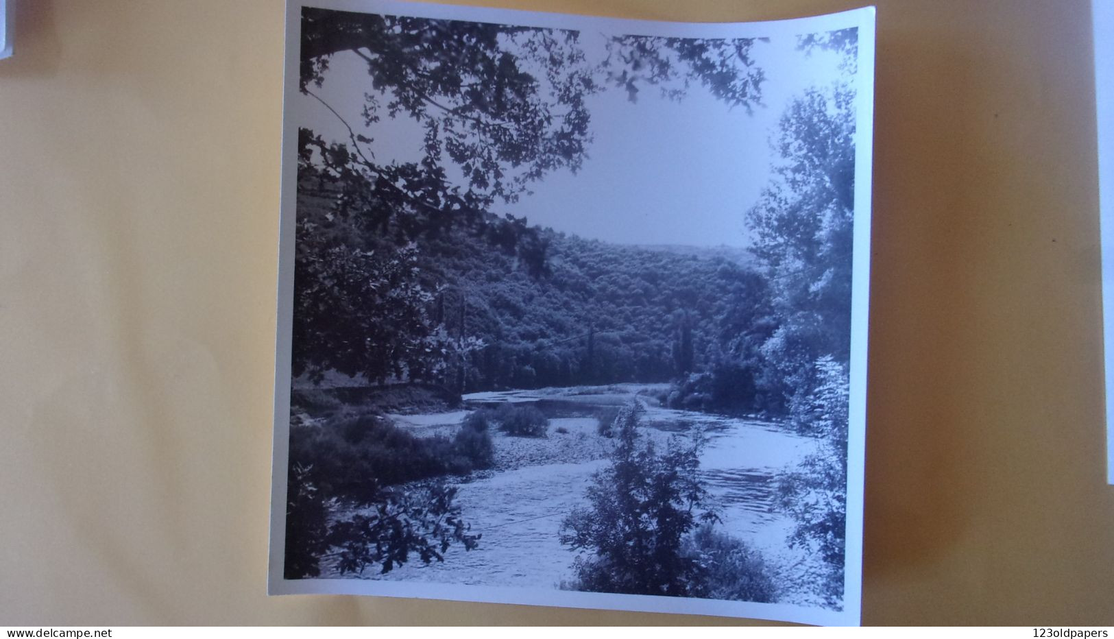 SNAPSHOT PHOTO AMATEUR VIEILLEVIE 15 CANTAL AOUT 1965 18/18CM  COIN DE PECHE - Lugares