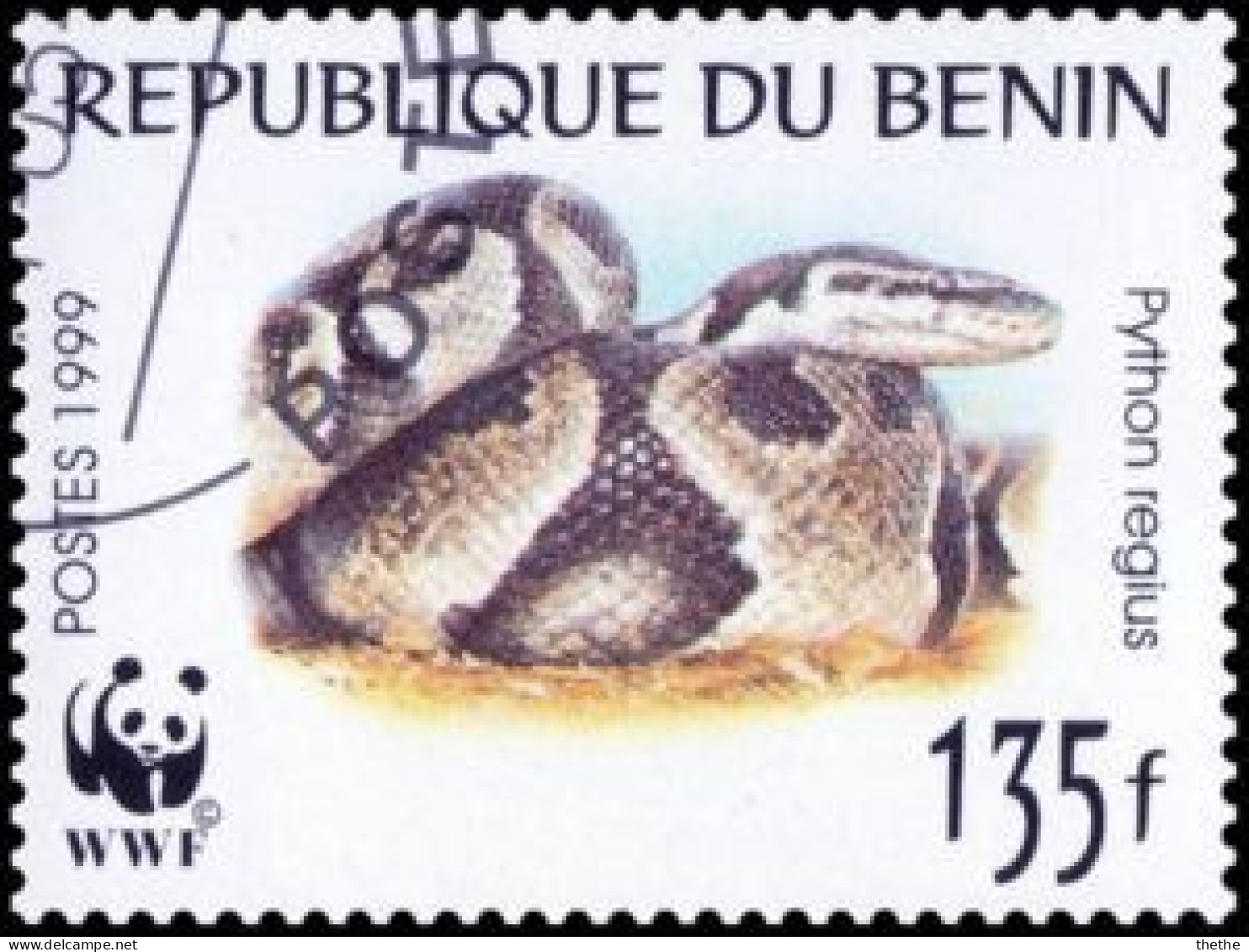 BENIN - Phyton à Boule (Python Regius) - Serpents
