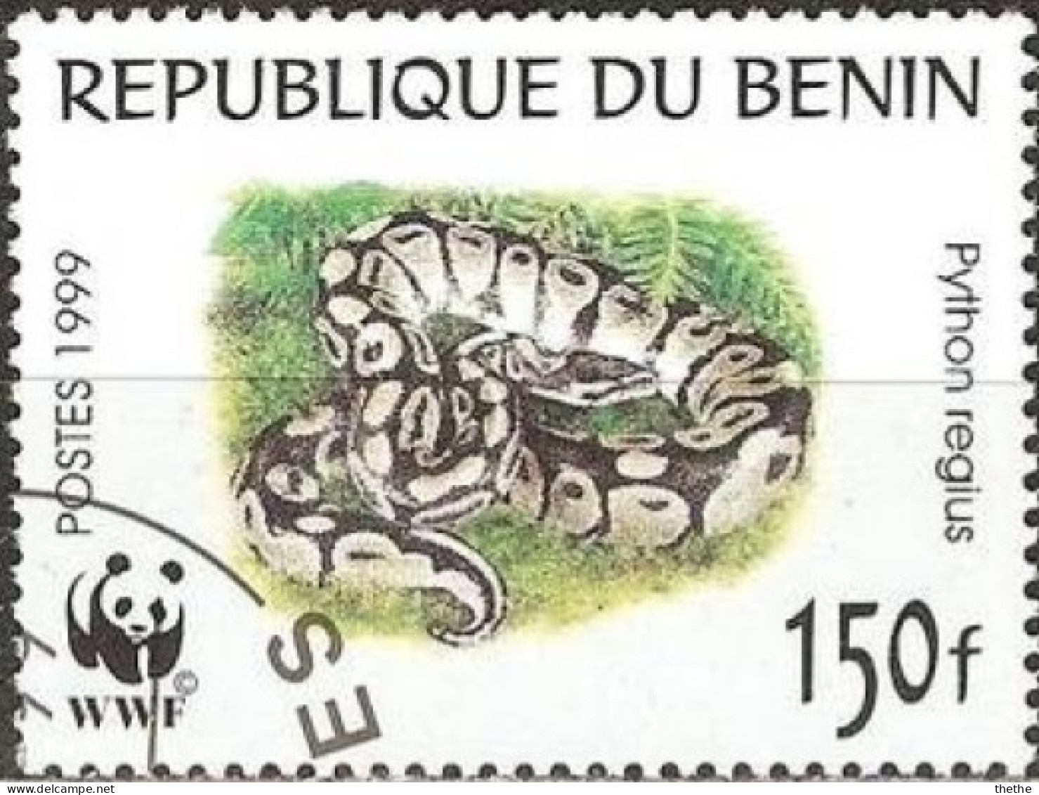BENIN - Phyton à Boule (Python Regius) - Serpents