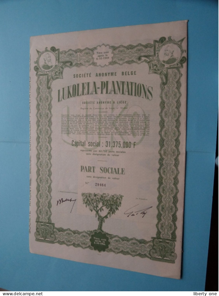 S.a. " LUKOLELA-PLANTATIONS " > Part Sociale > N° 29464 ( Zie/voir SCAN ) Après 1944 ! - Afrique