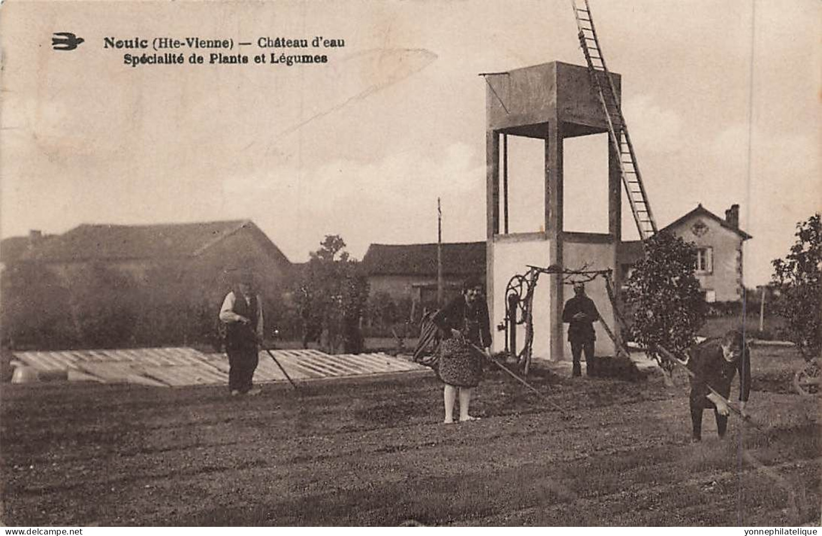 87 - HAUTE-VIENNE - NOUIC - Château D'eau - Spécialité De Plants Et Légumes - 10402 - Nieul