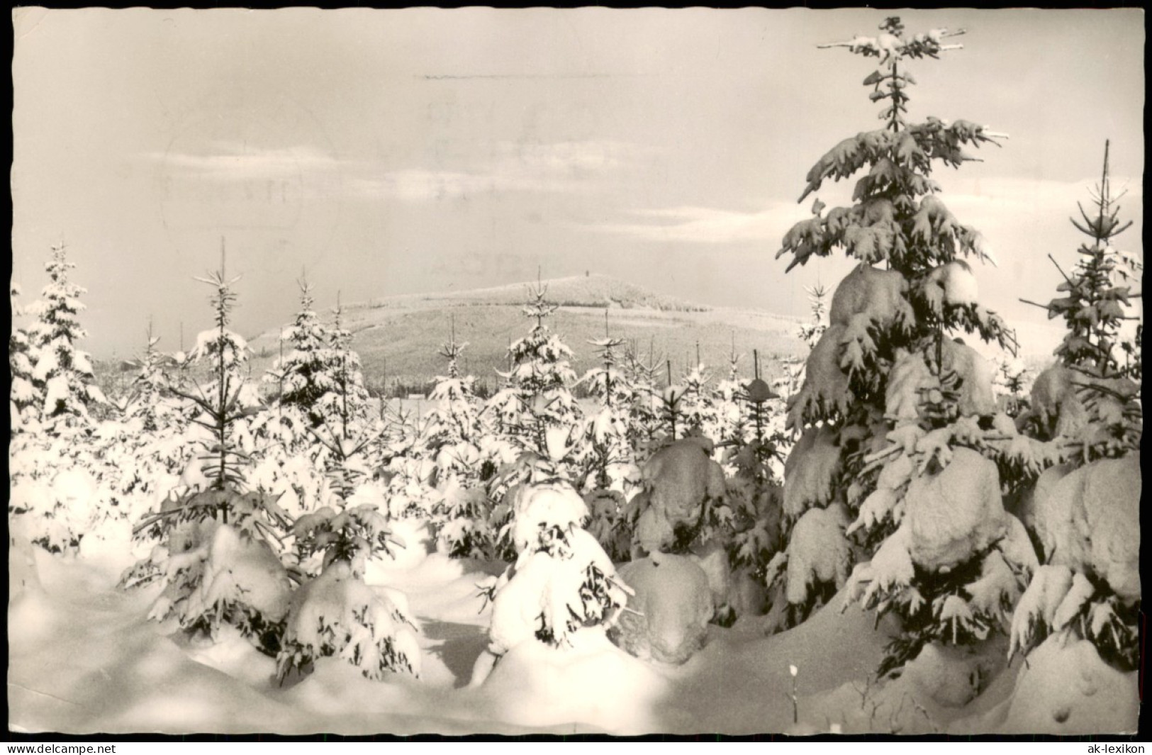 Ansichtskarte Braunlage Winter Im Oberharz Blick Zum Wurmberg 1963 - Braunlage