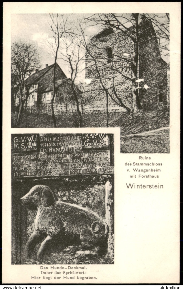 Ansichtskarte Winterstein-Waltershausen 2 Bild Stammschloß Mit Forsthaus 1922 - Waltershausen