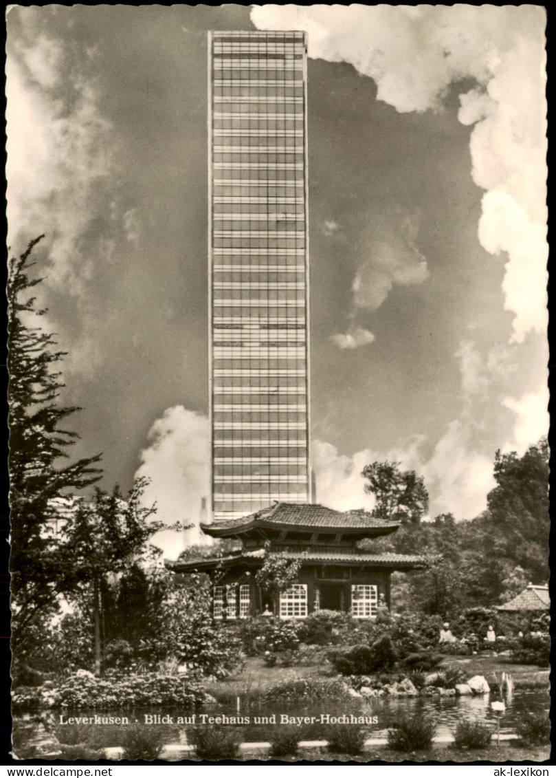 Ansichtskarte Leverkusen Blick Auf Teehaus Und Bayer-Hochhaus 1963 - Leverkusen