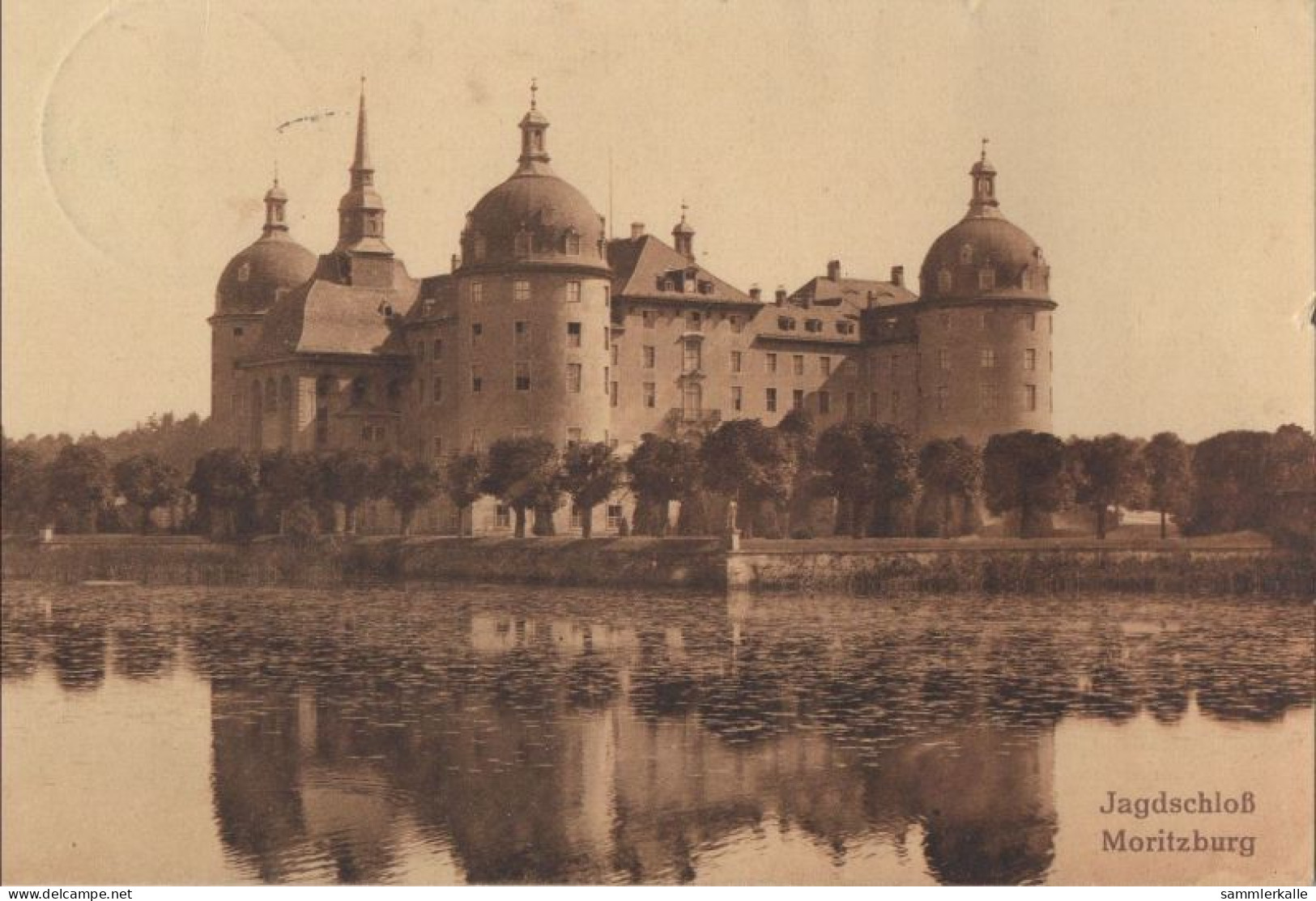 125823 - Moritzburg - Jagdschloss - Moritzburg