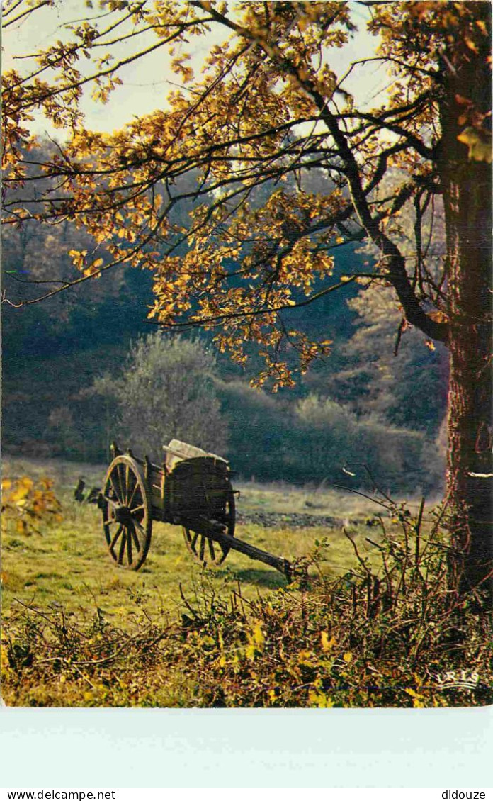 87 - Haute Vienne - Limousin - Charrette - CPM - Voir Scans Recto-Verso - Aixe Sur Vienne