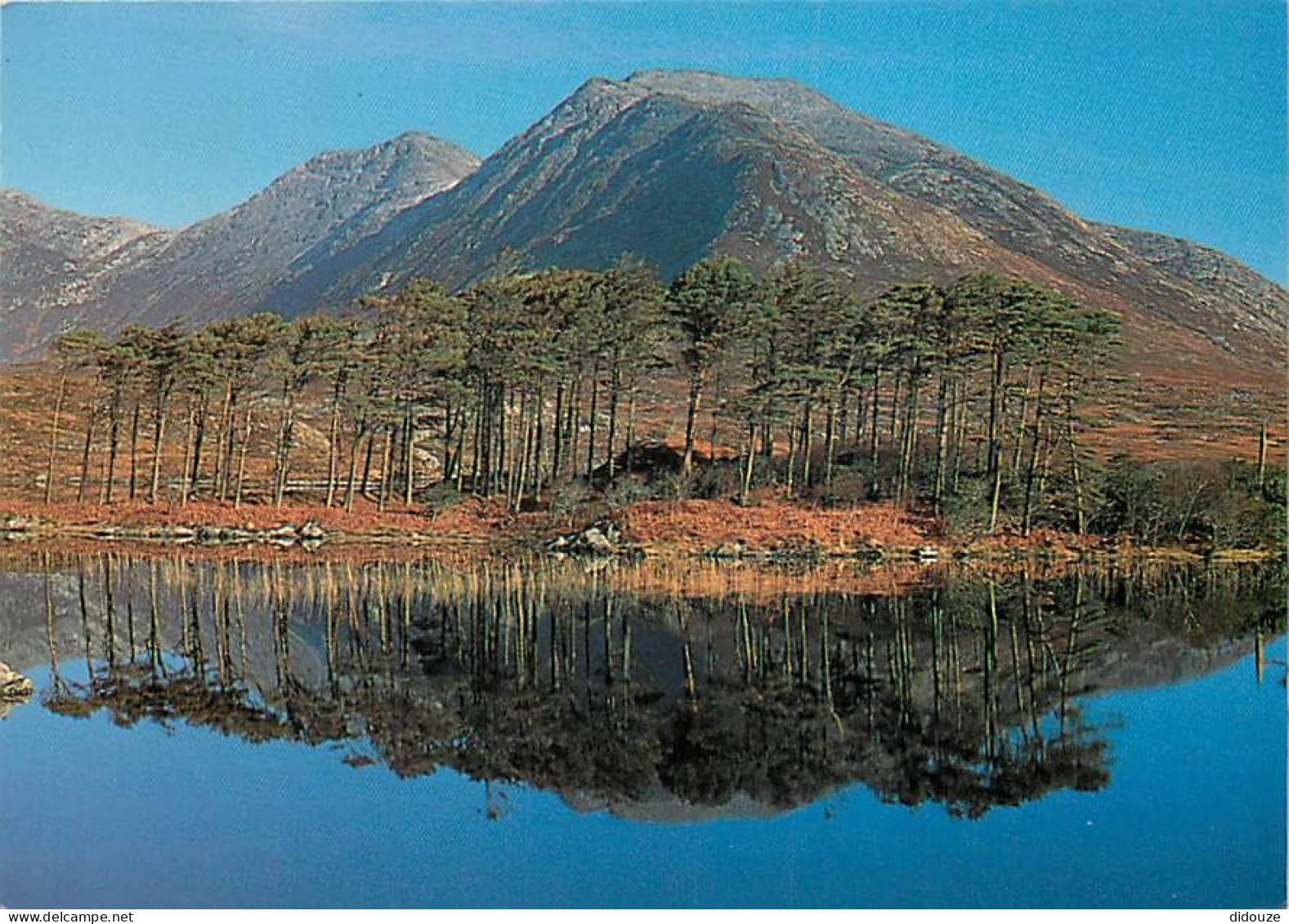 Irlande - Galway - Connemara - The Lower Reaches Of Derryclare Lough Near The 12 Bens Mountain Range - Ireland - CPM - V - Galway