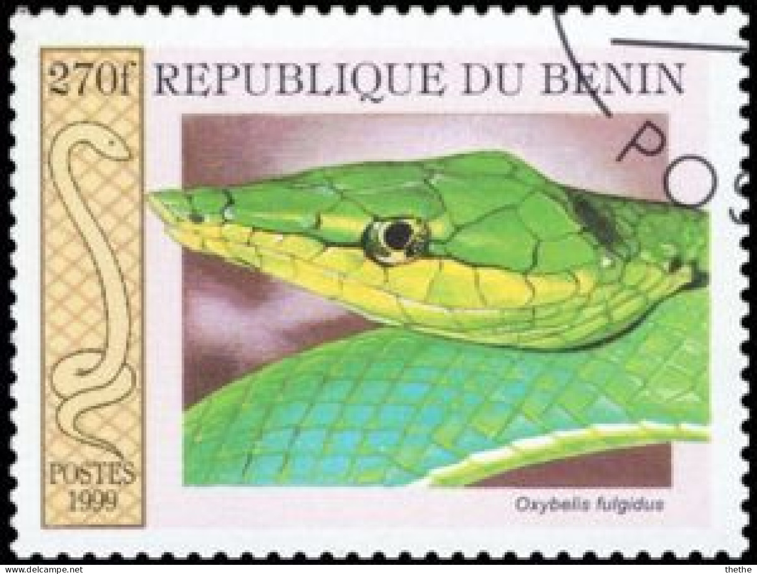 BENIN - Couleuvre Verte (Oxybelis Fulgidus) - Slangen