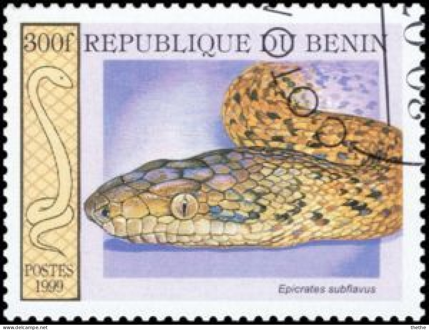 BENIN - Boa De La Jamaïque (Epicrates Subflavus) - Serpenti