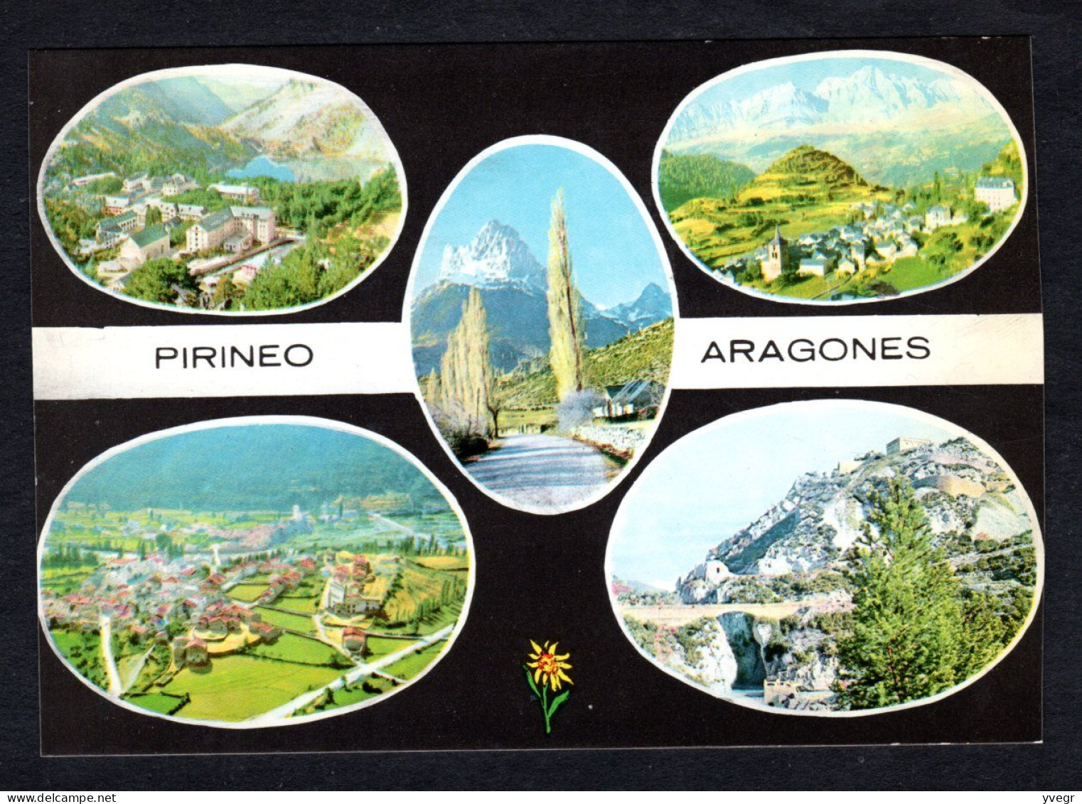 Espagne - PIRINEO ARAGONES - 5 Vues En Ovale - Multi Vues - Autres & Non Classés