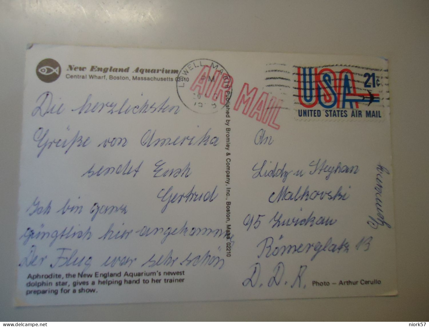 UNITED STATES USA  POSTCARDS FISHES  1989 2 SCAN POSTMARK   LOWELL MA. - Delfini