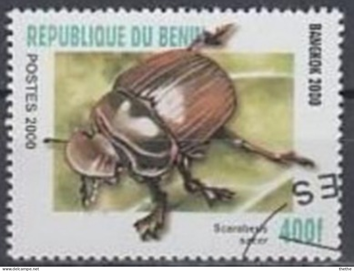 BENIN -  Scarabée (Scarabaeus Sacer) - Käfer