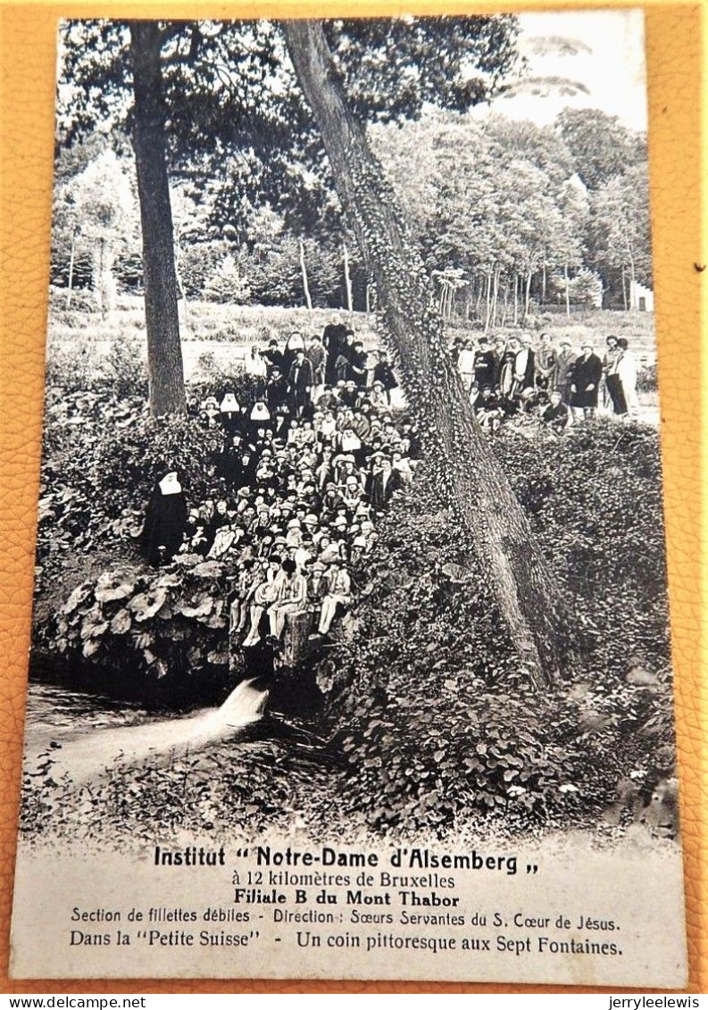 ALSEMBERG  -  Institut " Notre Dame D'Alsemberg " - Section De Filles Débiles -  Dans La Petite Suisse - Beersel