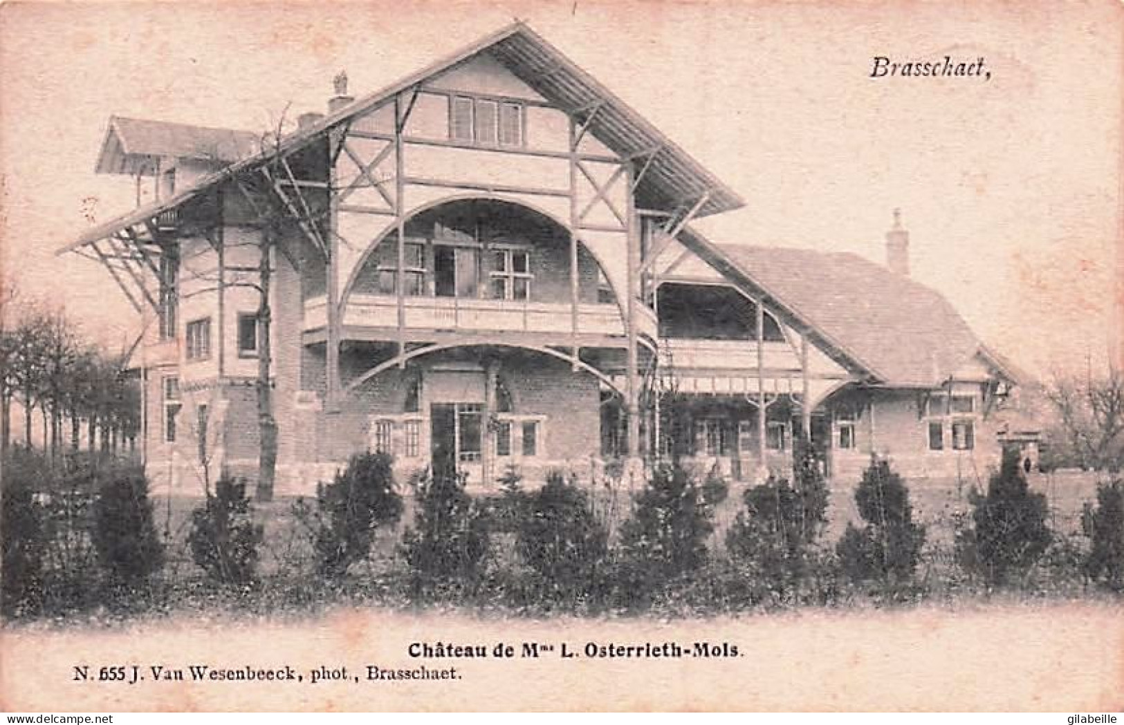 BRASSCHAAT - BRASSCHAET -  Château De Mme. L. Osterrieth-Mols - 1903 - Brasschaat