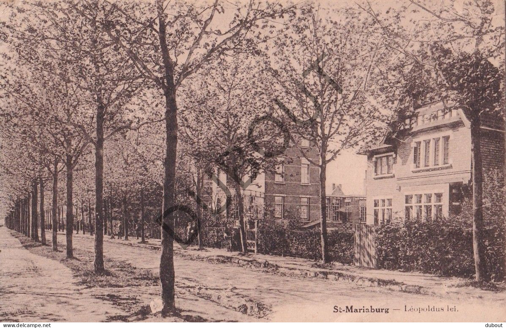 Postkaart - Carte Postale - St-Mariaburg Leopoldus Lei (C5673) - Brasschaat