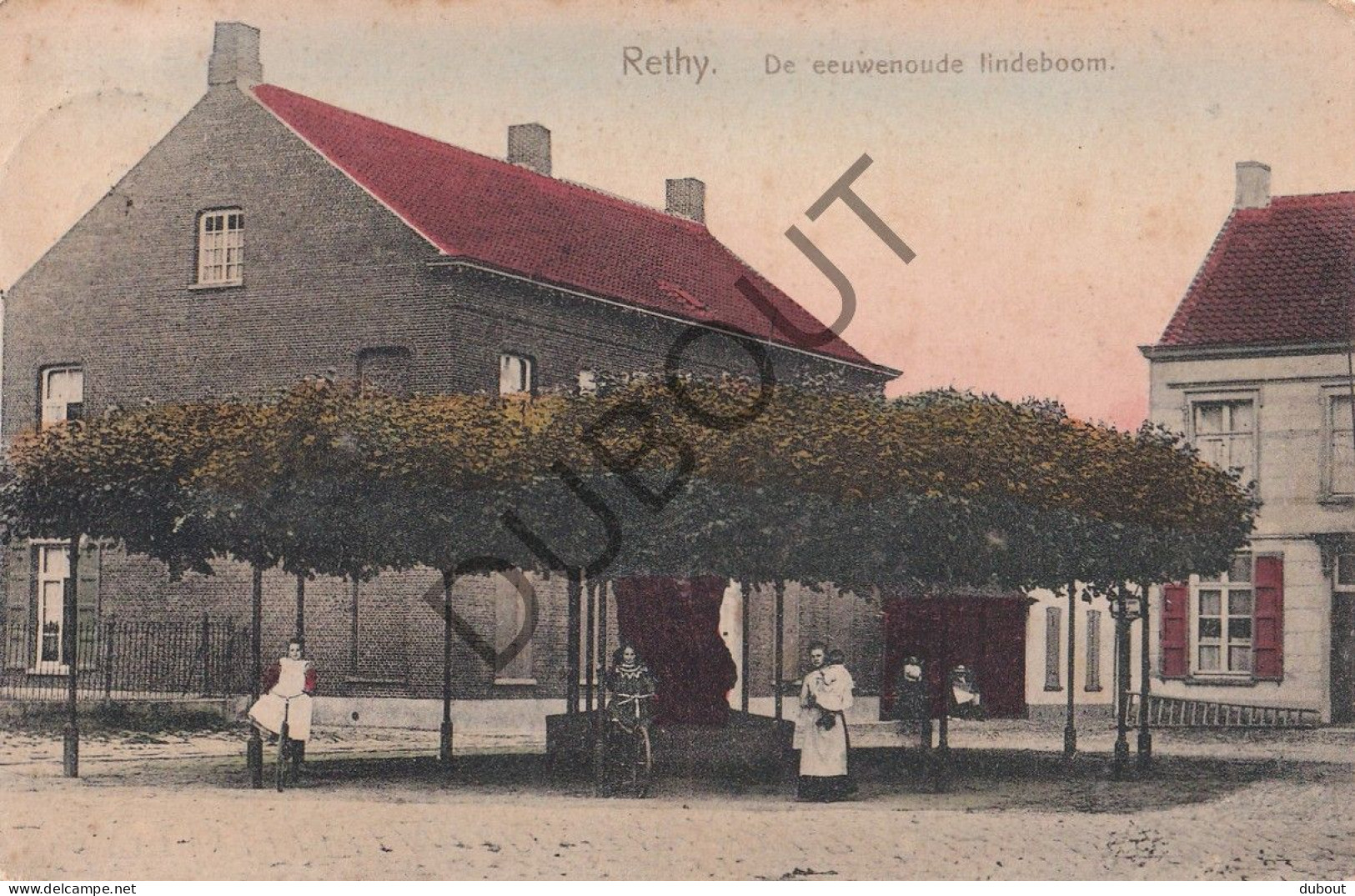 Postkaart - Carte Postale - Retie - De Eeuwenoude Lindeboom (C5685) - Retie