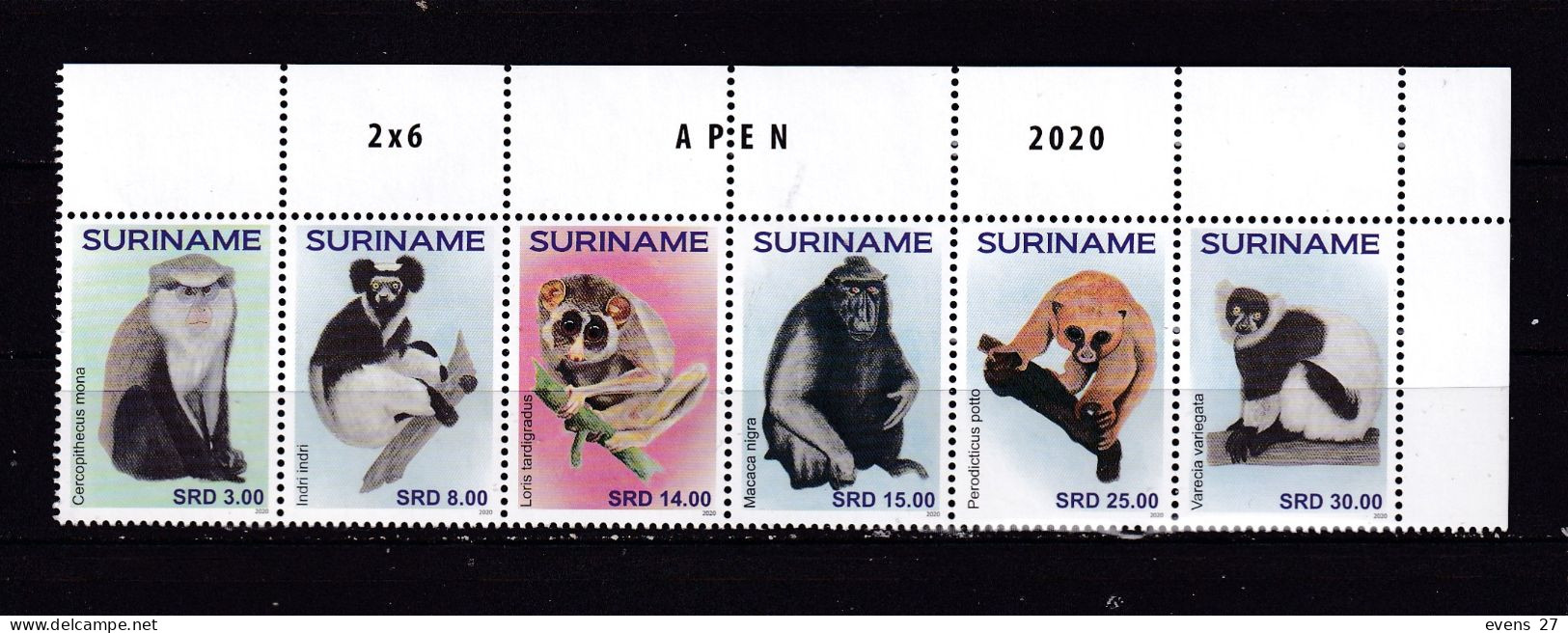 SURINAM-2020-MONKEYS-MNH - Affen