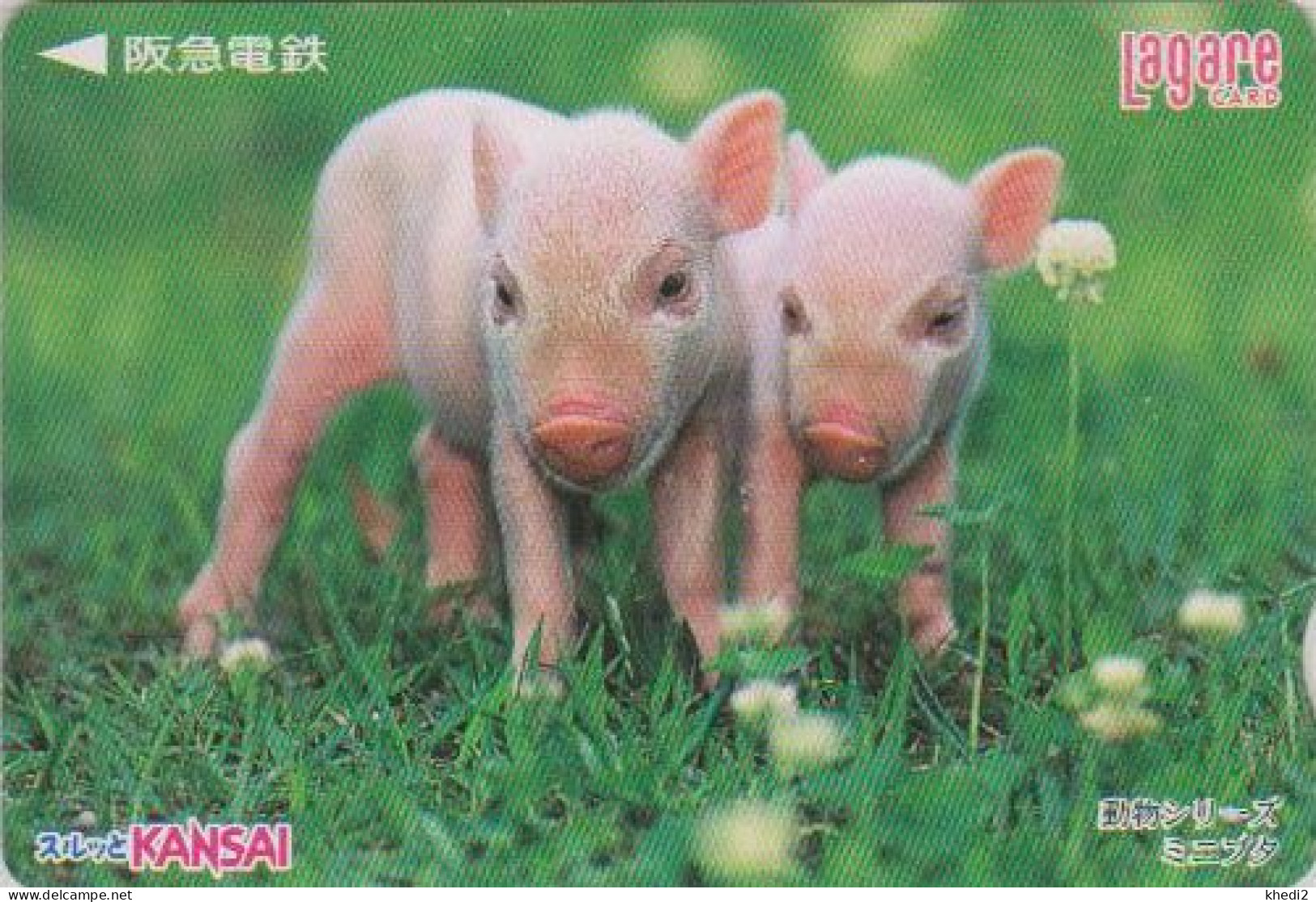 Carte Prépayée JAPON - ANIMAL - COCHON - PIG - JAPAN Prepaid Kansai Lagare Card - SCHWEIN - PORCO - 203 - Autres & Non Classés