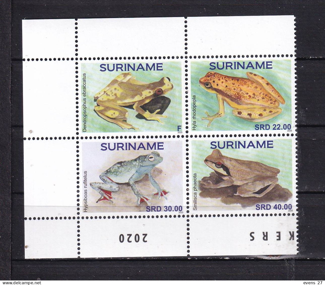 SURINAM-2020-FROGS-MNH - Grenouilles