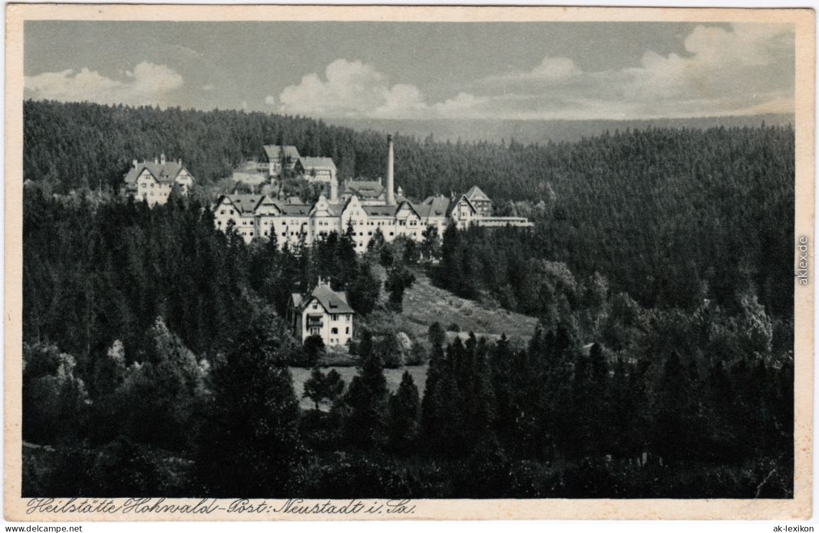 Hohwald (Sachsen) Blick Auf Die Heilstätte Ansichtskarte B Sebnitz Neustadt 1931 - Hohwald (Sachsen)