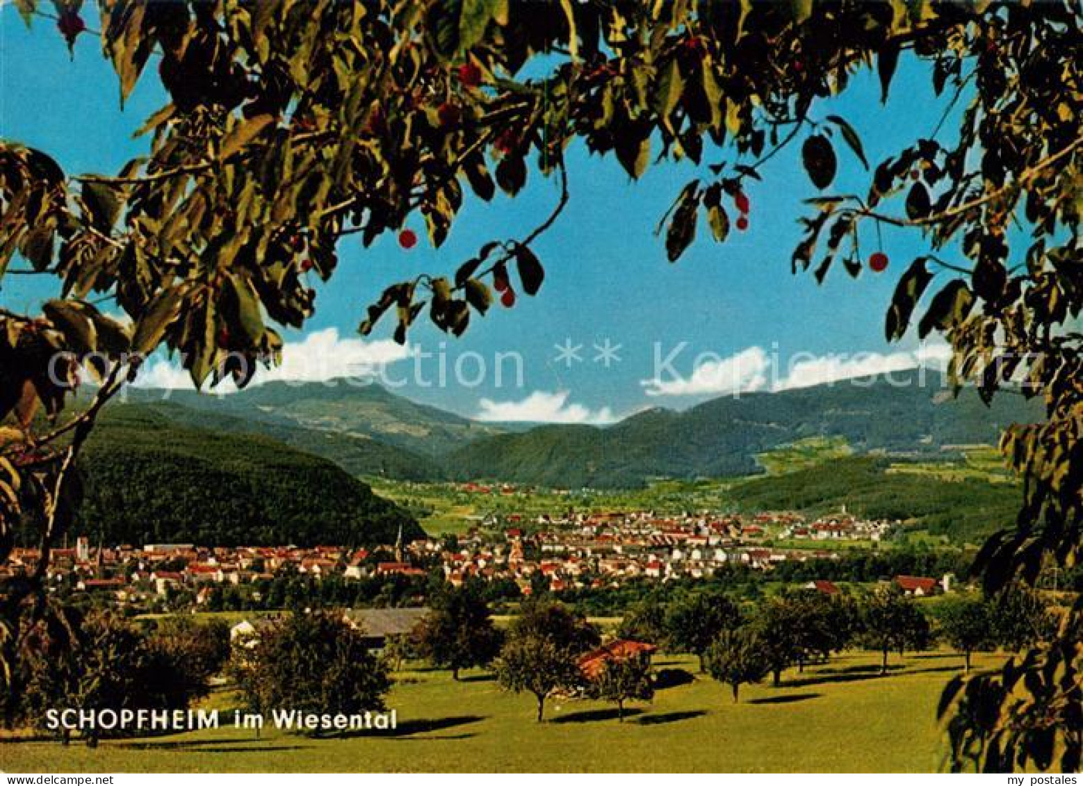 73207979 Schopfheim Panorama Schopfheim - Schopfheim