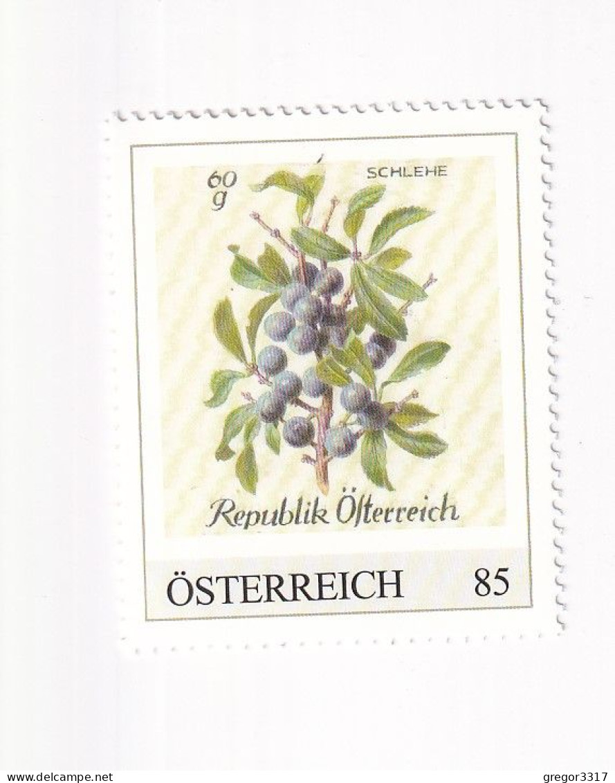 ÖSTERREICH -Heimische OBSTSORTEN Schätze Aus Dem Postarchiv - SCHLEHE - Personalisierte Briefmarke ** Postfrisch - Timbres Personnalisés