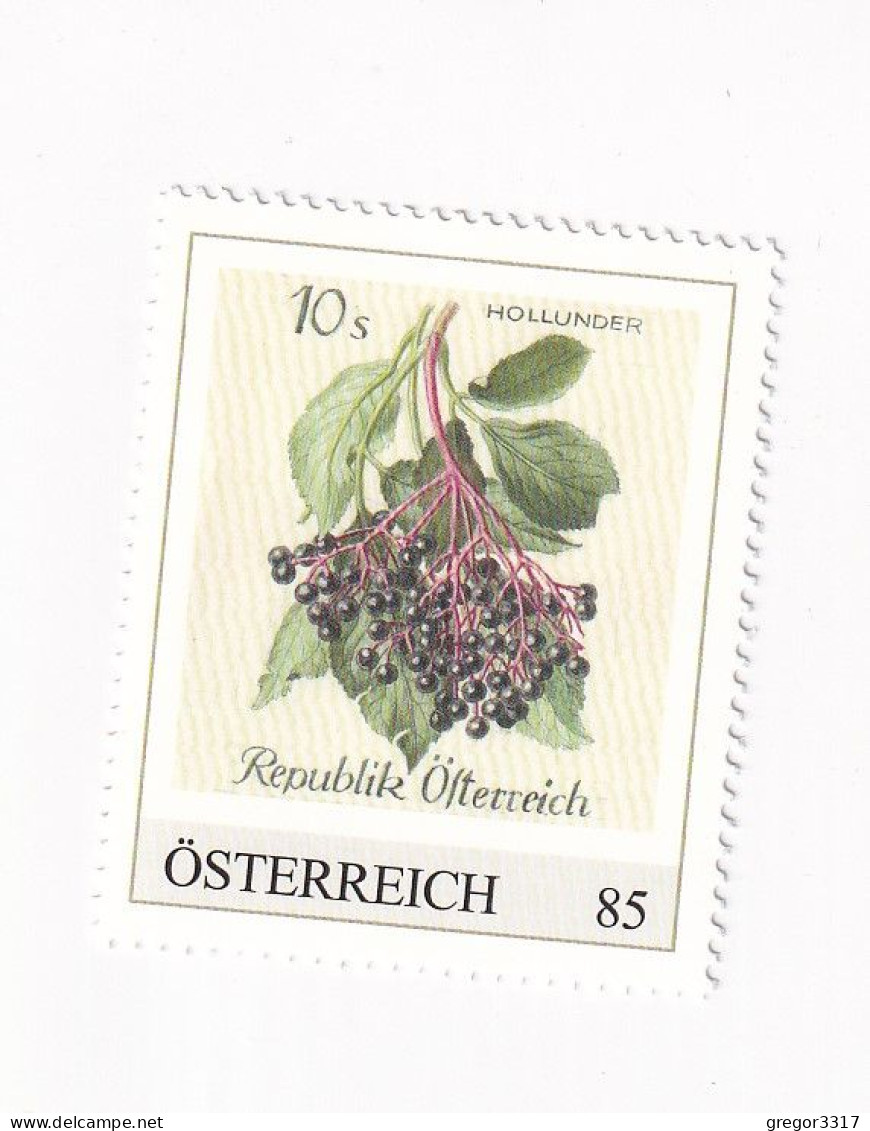 ÖSTERREICH -Heimische OBSTSORTEN Schätze Aus Dem Postarchiv - HOLLUNDER - Personalisierte Briefmarke ** Postfrisch - Personnalized Stamps