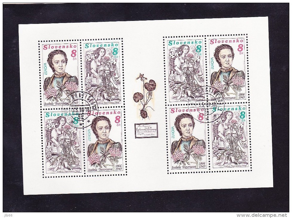 Bloc 4X2 Timbres Europa 1996 Oblitéré YT 211/212 / Sheet Europa 1996 Used Mi 250/251 - Hojas Bloque