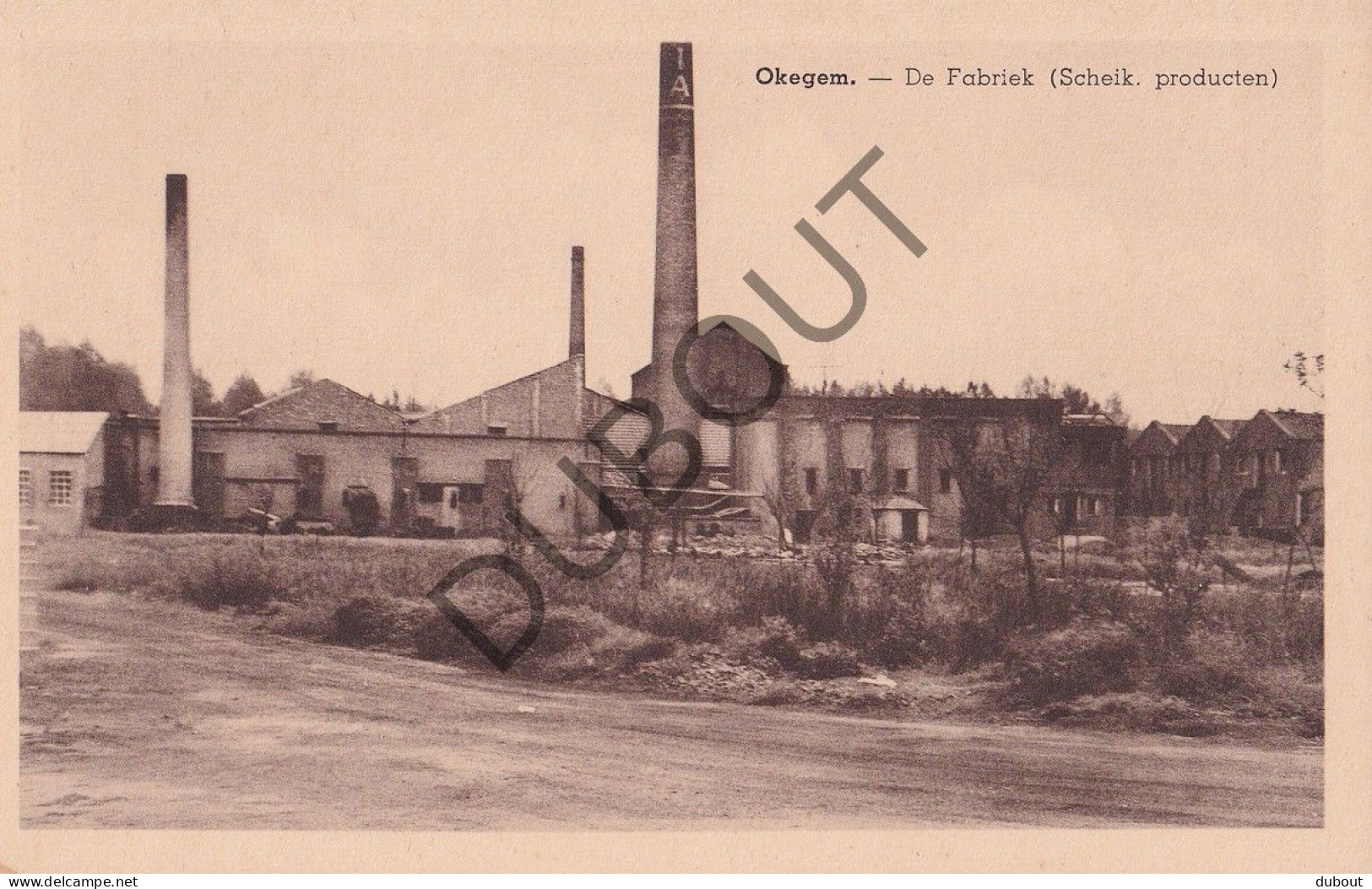 Postkaart - Carte Postale - Okegem - De Fabriek (C5646) - Ninove