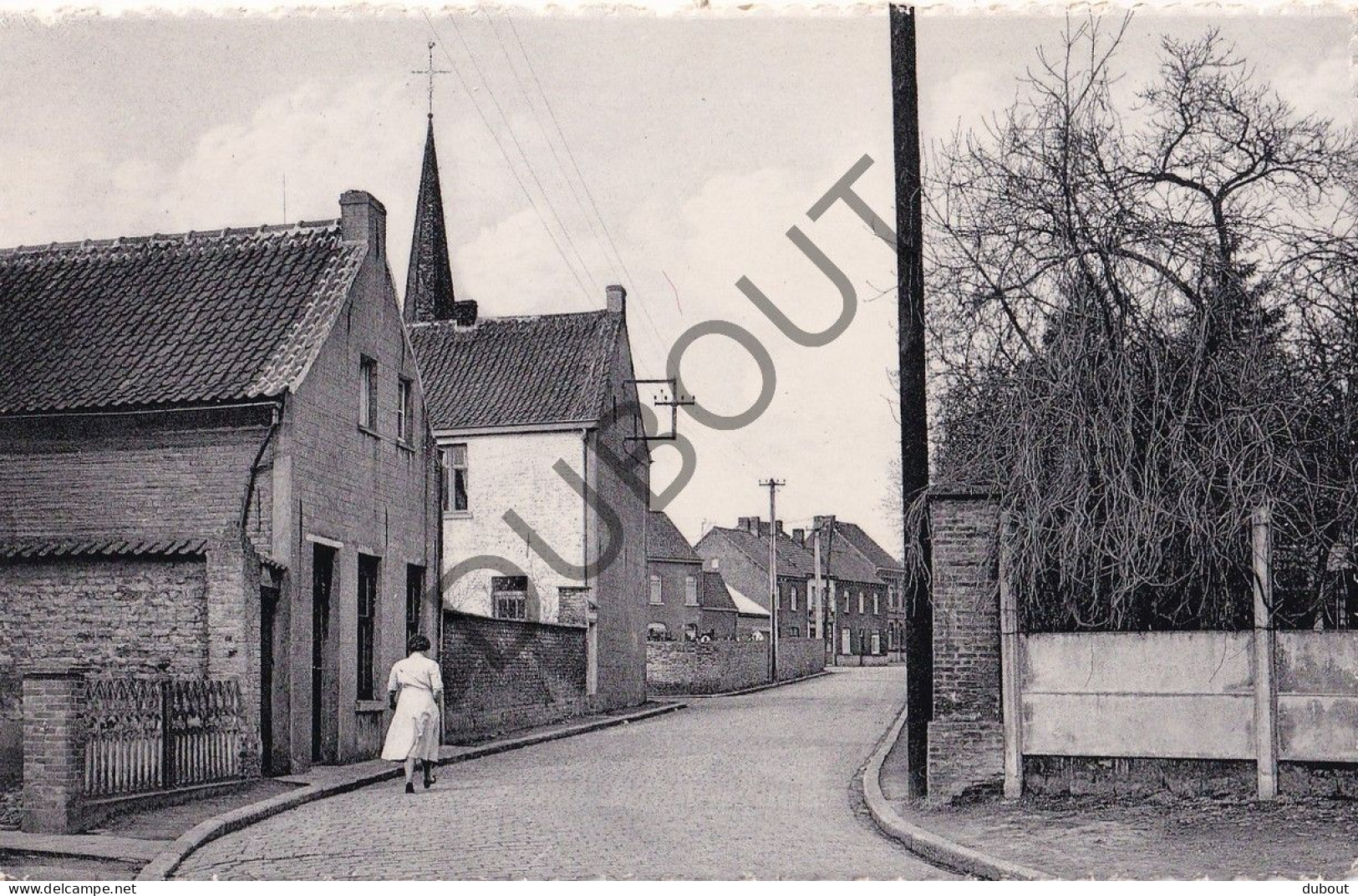 Postkaart - Carte Postale - Okegem - Fonteinstraat (C5715) - Ninove