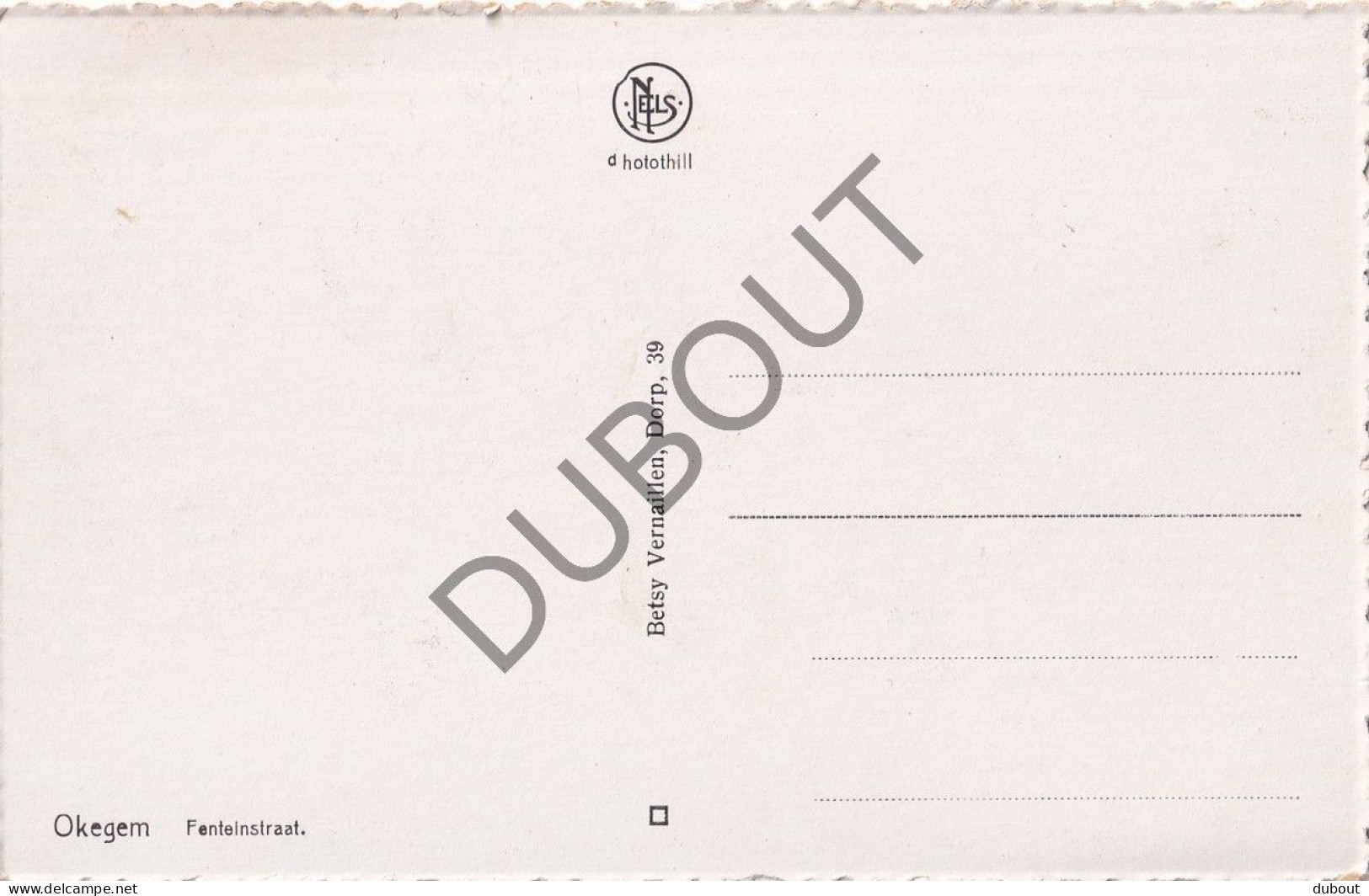 Postkaart - Carte Postale - Okegem - Fonteinstraat (C5715) - Ninove