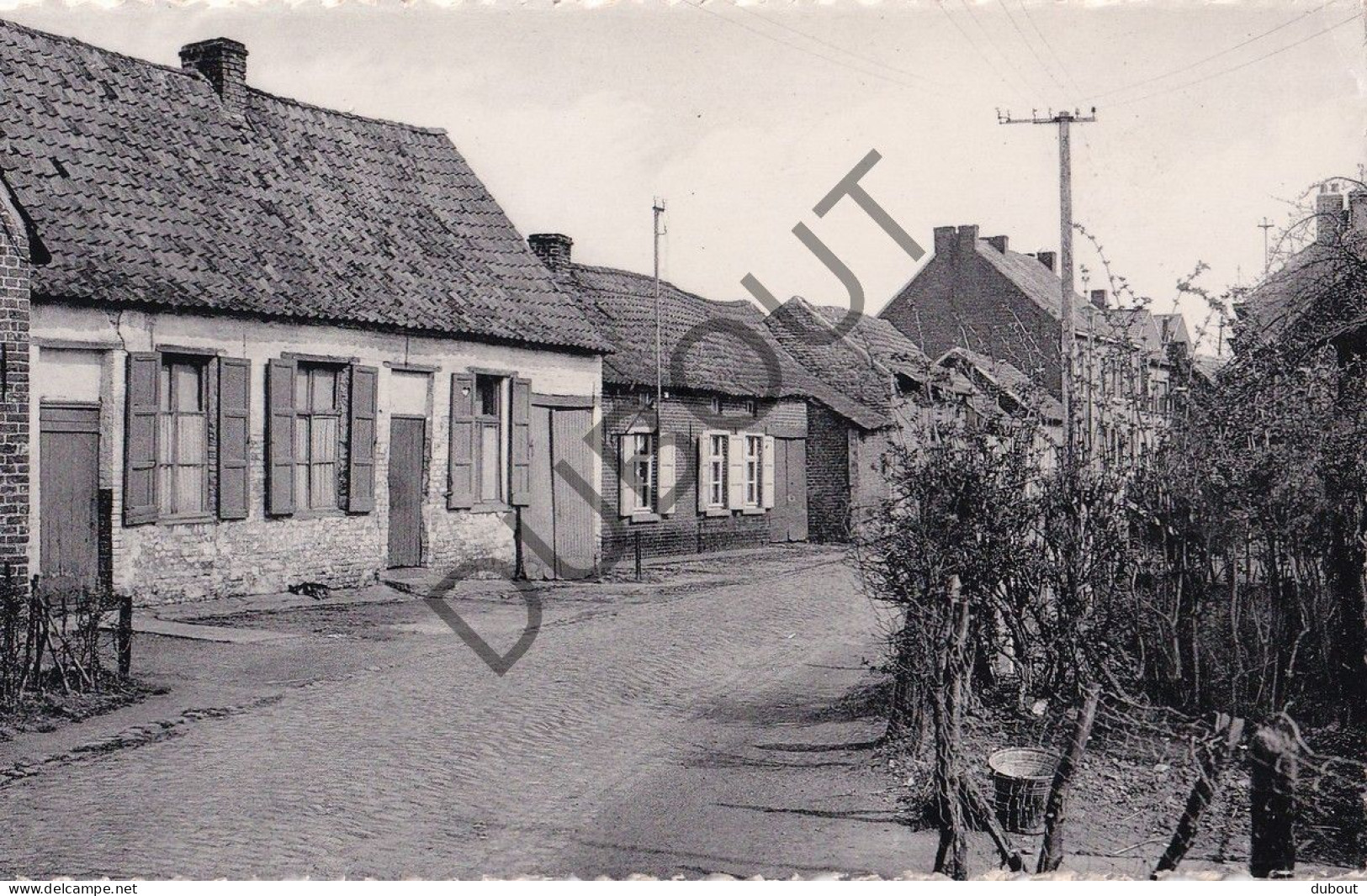 Postkaart - Carte Postale - Okegem - Neerbeekstraat (C5707) - Ninove