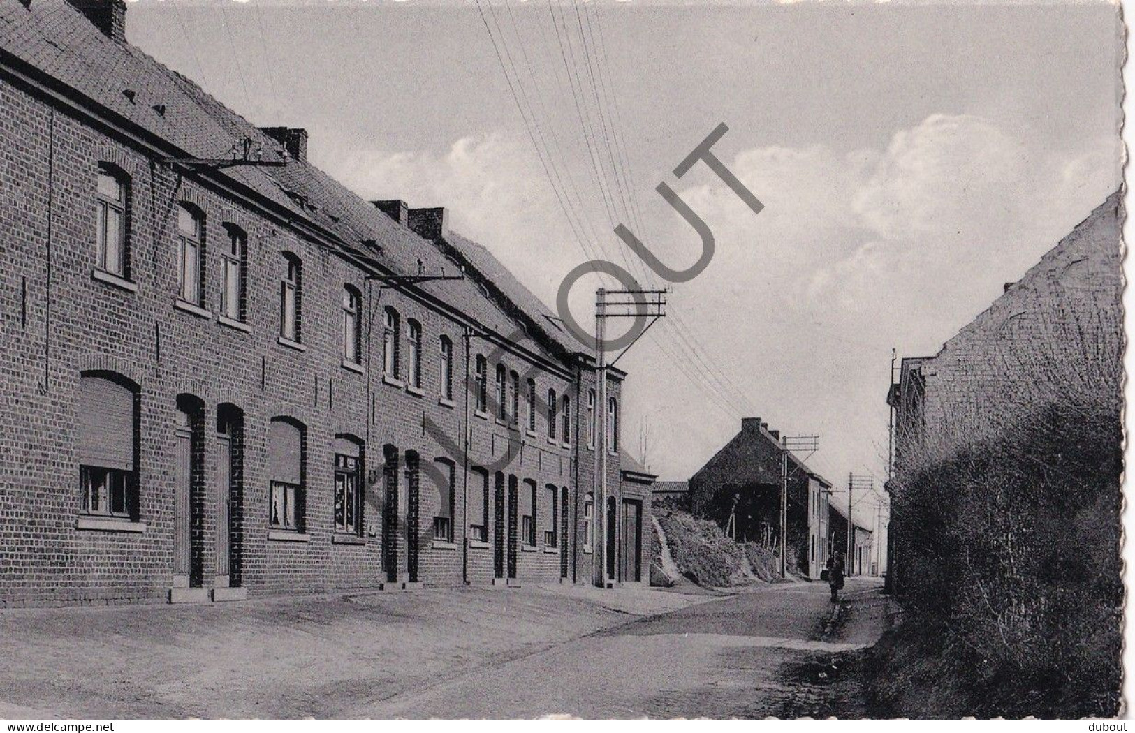 Postkaart - Carte Postale - Okegem - Leopoldstraat (C5703) - Ninove