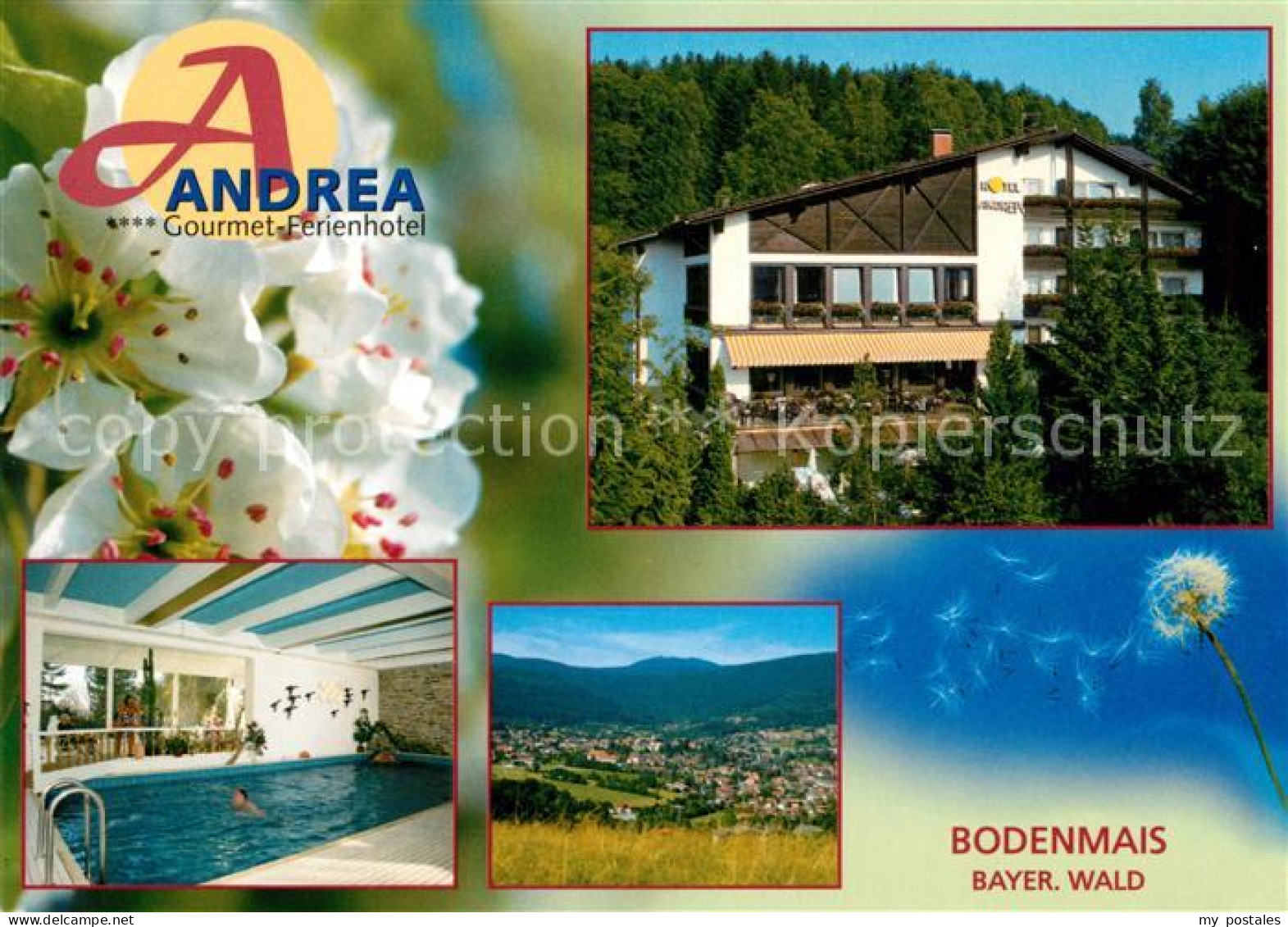 73203502 Bodenmais Andrea Gourmet Ferienhotel Hallenbad Landschaftspanorama Baye - Bodenmais